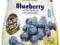 Chrupki Gerber Graduates Puffs Blueberry 42g z USA