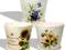 Zestaw trzech doniczekz podstawką  3 wzory ym9202
