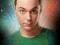 The Big Bang Theory - Powiedzonka Sheldona - plaka