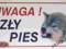 Tabliczka  UWAGA ZŁY PIES ! ----------------- WILK