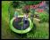 JKM TR0002 TRAMPOLINA SKYFLYER RING 2in1 244CM 8ft