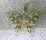 SREBRNY CIEKAWY WISIOR W KSZTAŁCIE MOTYLA