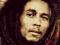 KANWA HAFT KRZYŻYKOWY 50x40 BOB MARLEY - 7263