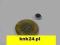 MAGNES NEODYMOWY walcowy 6x2mm  KRAKOW sklep