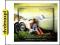MATEUSZ JAROSZ: WELL BALANCED (DIGIPACK) (CD)