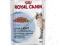 ROYAL CANIN LIGHT 24x85G SOS SASZETKI !!