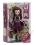 Mattel Ever After High Rebelsi Raven Queen wawa