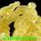 CHENILLE MICRO 1.5mm x2.5m KOLOR PALE YELLOW 04