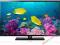 SAMSUNG 39F5000 100Hz FullHD USB SKLEP W-WA