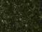 BLAT KUCHENNY GRANIT GR. 3 CM  PEARL GREEN