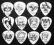 ROCK Demon Picks Set .88mm zestaw kostek 12szt