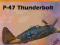 ! P-47 Thunderbolt 1:33 Orlik 049 !