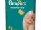 PIELUSZKI PAMPERS NEWBABY 3-6 KG 66 SZT.