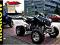 Quad ATV EGL MOTORS RUSH 250 - DOSTĘPNY OD RĘKI !