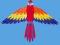 Latawiec Bird kite MACAW