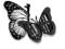 Motyl zestaw do paznokci Butterfly Manicure