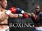 REAL BOXING - Kod STEAM