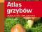 Atlas grzybów jadalnych i trujących 180 gatunków