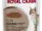 Royal Canin Feline Ageing +12 saszetka 85g