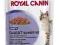 Royal Canin Feline Digest Sensitive saszetka 85g