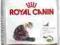 Royal Canin Feline Ageing +12 400g