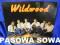 WILDWOOD - Dawn /country /LP12/33