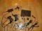 PlayStation 2 Slim+ 2 x pad + karta 8 GB Oryginał