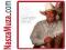 The Very Best Of 1981 1987 Strait George Cd
