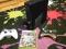 XBOX 360 SLIM 320GB+2 PADY+HDMI+GTA 5+GRATISY!!!