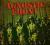 AGNOSTIC FRONT - another voice [2004] _CD