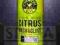 Chemical Guys citrus wash and gloss 473ml SZAMPON