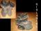 *GIRL&GIRL* botki rozm.27 bdb- *GIRL&GIRL* botki rozm.27 bdb-