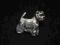West Highland White Terrier pin, broszka