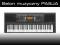 YAMAHA PSR E343 343 keyboard klawisze do nauki