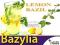 BARDZO AROMATYCZNA Bazylia cytrynowa LEMON BASIL