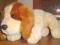 UROCZY PIESE cocker spaniel KELLY TOYS 40CM