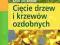 Cięcie drzew i krzewów ozdobnych krok po kroku