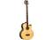 Gitara basowa Ortega KTSM-5FL Ken Taylor NOWA 5str