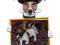 Wzorcowe Jack Russell Terrier od Smartie Jacks