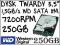 DYSK TWARDY WD 250GB 3,5