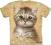 BROWN KITTEN T-SHIRT 9 lat + THE MOUNTAIN