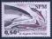 Saint Pierre Miquelon ** Delfin Fauna Orka