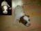 Jack Russell Terrier - szczenięta rodowodowe ZKwP
