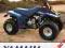 Clymer Yamaha YFM80 Moto-4 BadgerRaptor 85-08 M499