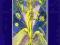 Crowley Thoth Tarot 6x9cm Pocket, instr. PL