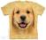 Golden Retriever Puppy - The Mountain @ L