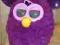 Furby FIOLETOWY!!!