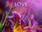 AWAKENING TO LOVE Iris Sparkes