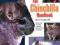 CHINCHILLA HANDBOOK (PET HANDBOOKS) Vanderlip