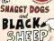 SHAGGY DOGS AND BLACK SHEEP Albert Jack